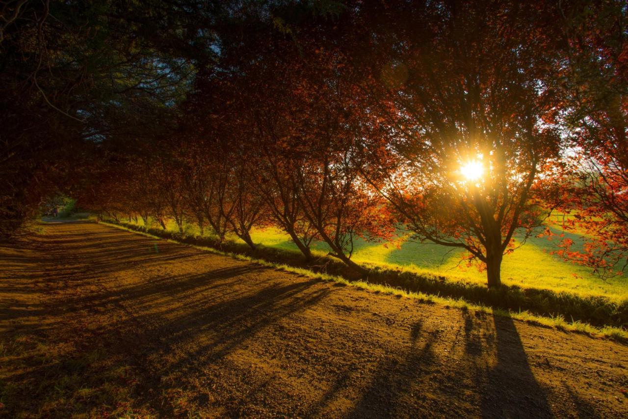 Posada Los Mimbres Gaiman ภายนอก รูปภาพ
